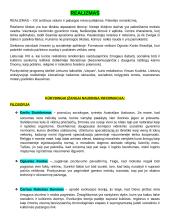 Autorių kartojimas 2 puslapis