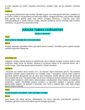 Autorių kartojimas 11 puslapis