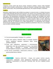 Autorių kartojimas 12 puslapis