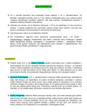 Autorių kartojimas 13 puslapis