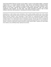 Autorių kartojimas 15 puslapis