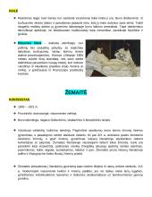 Autorių kartojimas 3 puslapis