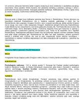 Autorių kartojimas 5 puslapis