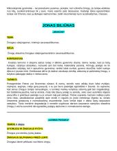 Autorių kartojimas 6 puslapis