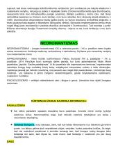 Autorių kartojimas 8 puslapis