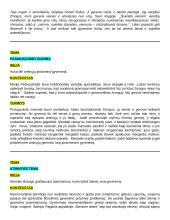 Autorių kartojimas 10 puslapis