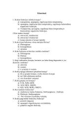 Kraujas ir kraujagyslės 2 puslapis