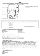 Ląstelės sandaros testas