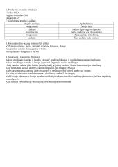 Ląstelės sandaros testas 4 puslapis