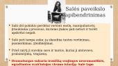 "Madagaskaro“ veikėjų idealizmas 9 puslapis