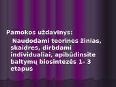 Baltymų biosintezės kartojimas 2 puslapis
