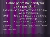 Baltymų biosintezės kartojimas 11 puslapis