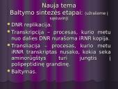 Baltymų biosintezės kartojimas 5 puslapis