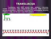Baltymų biosintezės kartojimas 8 puslapis