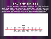 Baltymų biosintezės kartojimas 9 puslapis