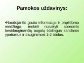 Samanų ir sporinių induočių dauginimasis 2 puslapis