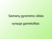 Samanų ir sporinių induočių dauginimasis 12 puslapis