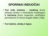 Samanų ir sporinių induočių dauginimasis 17 puslapis