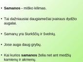 Samanų ir sporinių induočių dauginimasis 3 puslapis