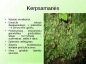 Samanų ir sporinių induočių dauginimasis 6 puslapis