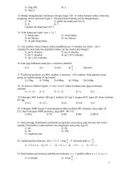 Matematikos egzaminas 2 puslapis