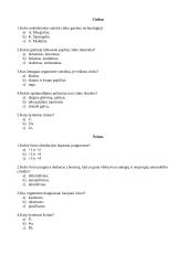 Metalų testas 4 puslapis