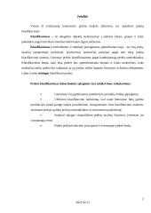 Prekių klasifikavimas 2 puslapis