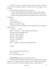 Prekių klasifikavimas 11 puslapis