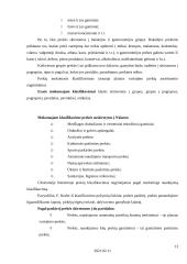 Prekių klasifikavimas 13 puslapis