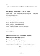 Prekių klasifikavimas 8 puslapis