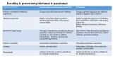 Reformacijos ir kontrreformacijos sąjūdžiai Europoje XVI-XVII a. 6 puslapis