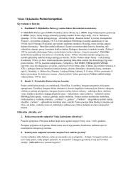 Vinco Mykolaičio-Putino konspektai