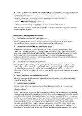 Vinco Mykolaičio-Putino konspektai 2 puslapis