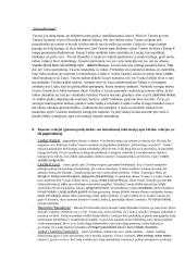 Vinco Mykolaičio-Putino konspektai 4 puslapis