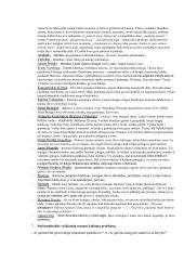 Vinco Mykolaičio-Putino konspektai 5 puslapis