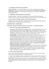 Vinco Mykolaičio-Putino konspektai 6 puslapis