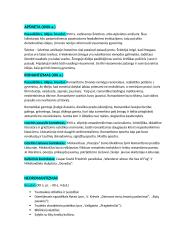 11-12 klasės kursas (beveik visi analizuoti autoriai ir kūriniai)  11 puslapis