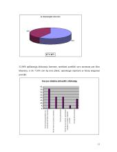 Agresija internete 11 puslapis