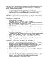 Šatrijos Ragana ir neoromantizmas