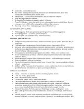 Šatrijos Ragana ir neoromantizmas 2 puslapis