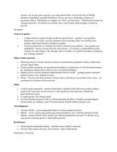 Juozas Tumas – Vaižgantas (1869 – 1933) 4 puslapis