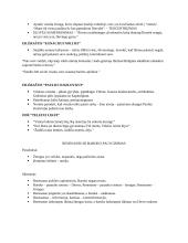 Renesansas ir Barokas literatūroje 4 puslapis