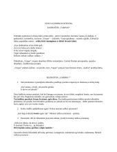Vinco Kudirkos ir jo kūrybos konspektas 4 puslapis