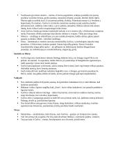 Antano Škėmos konspektas 2 puslapis