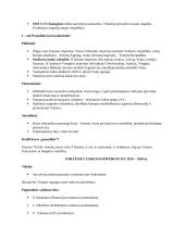 Apie I pasaulinį karą 3 puslapis