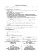 Kapitalizmas, Reformacija, Renesansas