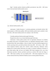 Bedarbystės statistikos tyrimas 4 puslapis