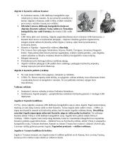 LDK istorija 3 puslapis