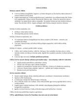 LDK istorija 4 puslapis