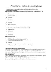 Bendraamžiai – Konsultantai: priekabiavimas mokykloje 3 puslapis